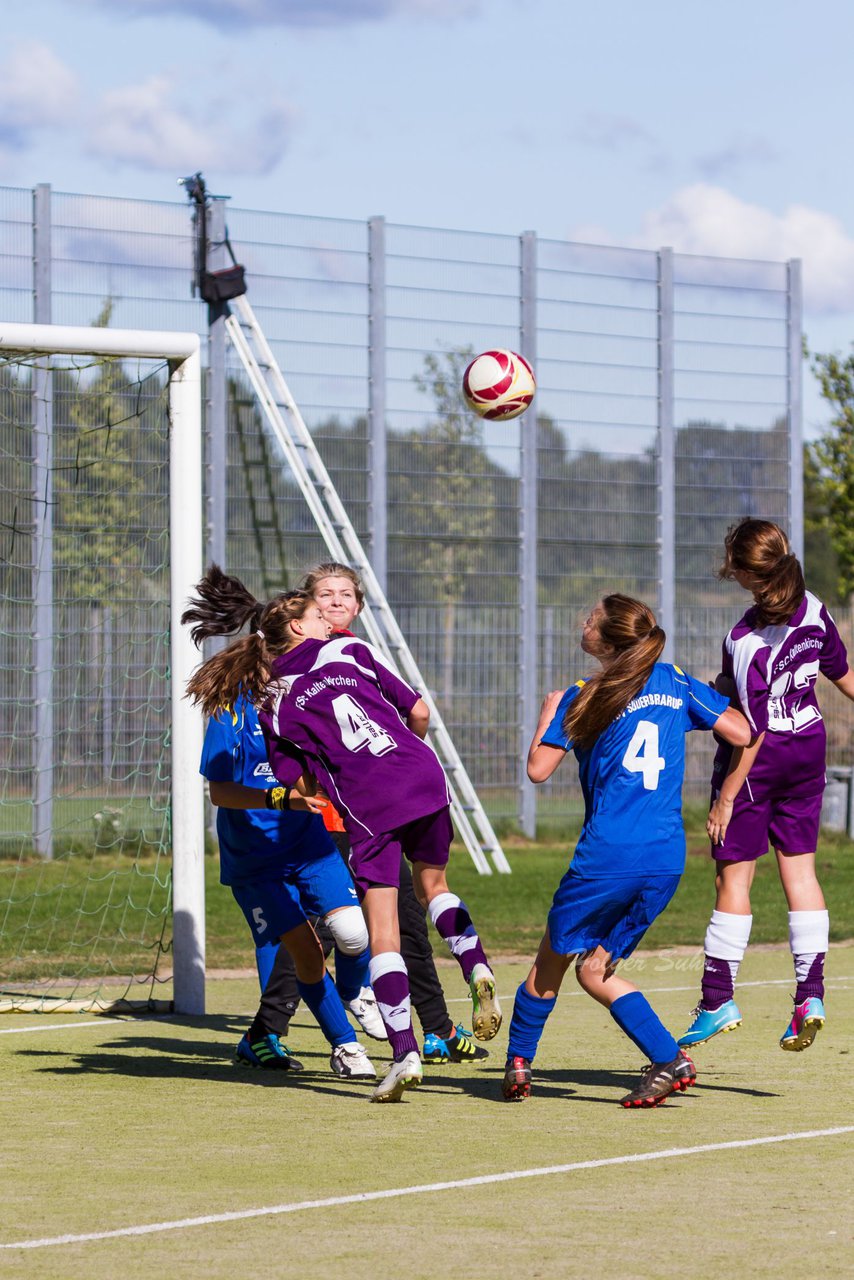 Bild 164 - B-Juniorinnen FSC Kaltenkirchen - TSV Sderbrarup : Ergebnis: 2:0